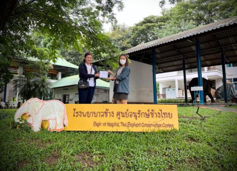 Spende an Elefanten Krankenhaus Lampang: „Thank you for your kindness from far away“
